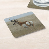 A22 Pronghorn Antelope Buck Rechteckiger Pappuntersetzer (angewinkelt)