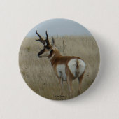 A22 Pronghorn Antelope Button (Vorderseite)