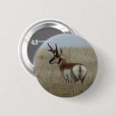 A22 Pronghorn Antelope Button (Vorne & Hinten)