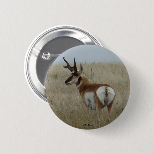 A22 Pronghorn Antelope Button (Vorne & Hinten)