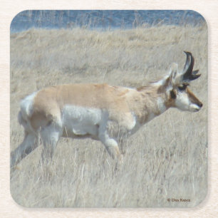 A23 Junges Gabelbock Rechteckiger Pappuntersetzer