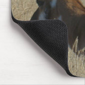 A23 Pronghorn Antelope Young Bucks Head Shot Mousepad (Ecke)