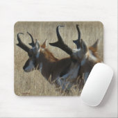 A23 Pronghorn Antelope Young Bucks Head Shot Mousepad (Mit Mouse)