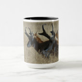 A23 Pronghorn Antilopen-junge Dollar-Hauptschuß Tasse (Zentrum)