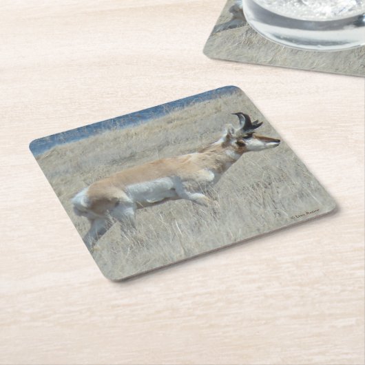 A23 Young Pronghorn Antelope Rechteckiger Pappuntersetzer (angewinkelt)