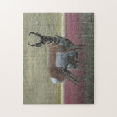 A24 Gabelbock Puzzle (Vertikal)