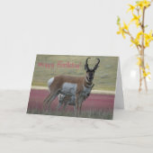 A24 Pronghorn Antelope Buck Karte (Gelbe Blume)