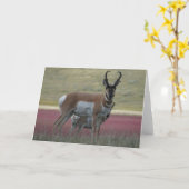 A24 Pronghorn Antelope Buck Karte (Gelbe Blume)