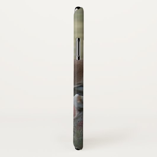 A24 Pronghorn Antelope Case-Mate iPhone Hülle (Hinten/Rechts)