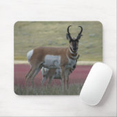A24 Pronghorn Antelope Mousepad (Mit Mouse)