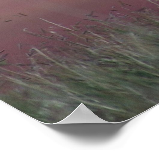 A24 Pronghorn Antelope Poster (Ecke)