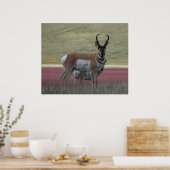 A24 Pronghorn Antelope Poster (Küche)