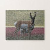 A24 Pronghorn Antelope Puzzle (Horizontal)