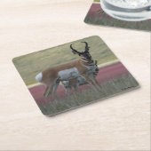 A24 Pronghorn Antelope Rechteckiger Pappuntersetzer (angewinkelt)