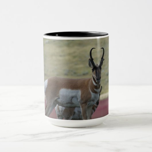 A24 Pronghorn Antelope Tasse (Zentrum)