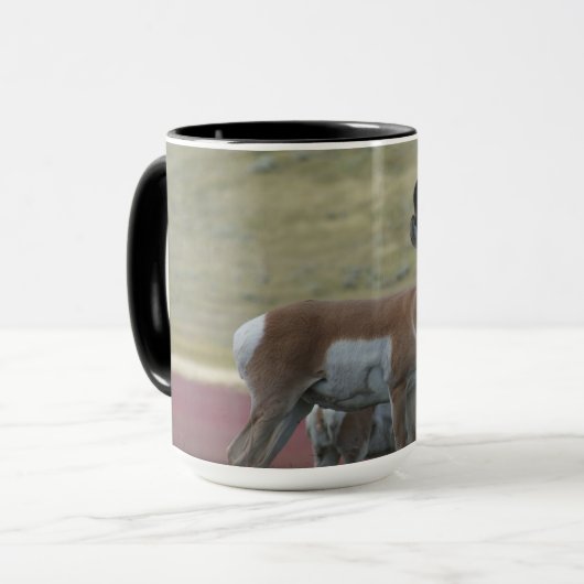 A24 Pronghorn Antelope Tasse (Vorderseite Links)