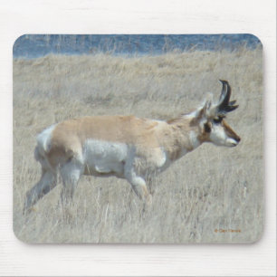 A25 Antelope Buck Mousepad