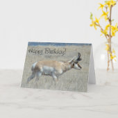 A25 Gabelbock Junger Bock Karte (Gelbe Blume)