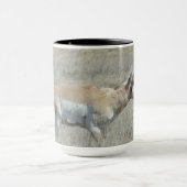 A25 Gabelbock Junger Bock Tasse (Zentrum)