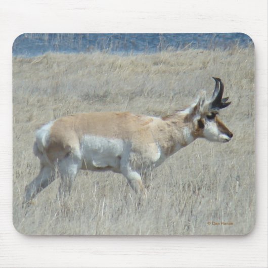 A25 Gabelbockbock Mousepad (Vorne)