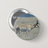 A25 Pronghorn Antelope Button (Vorne & Hinten)