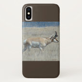 A25 Pronghorn Antelope Case-Mate iPhone Hülle (Rückseite)
