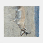 A25 Pronghorn Antelope Fleecedecke (Vorderseite (Horizontal))