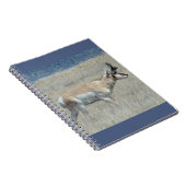 A25 Pronghorn Antelope Young Buck Notizblock (Rechte Seite)