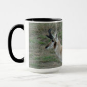 A26 Pronghorn Antelope Buck Tasse (Links)