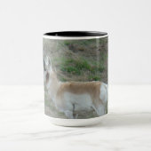 A26 Pronghorn Antelope Buck Tasse (Zentrum)