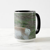 A26 Pronghorn Antelope Buck Tasse (VorderseiteRechts)