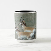 A27 Pronghorn Antelope Young Bucks Tasse (Zentrum)