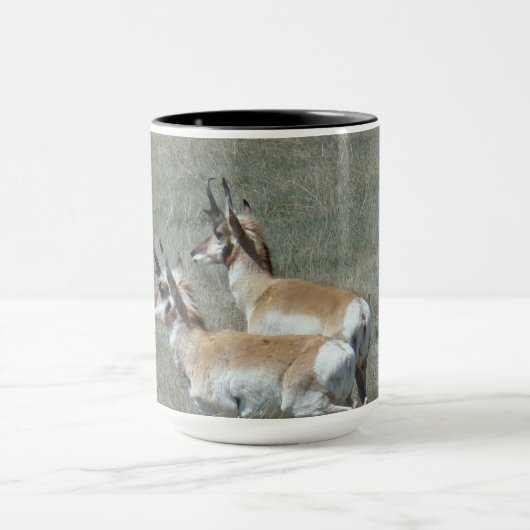 A27 Pronghorn Antelope Young Bucks Tasse (Zentrum)