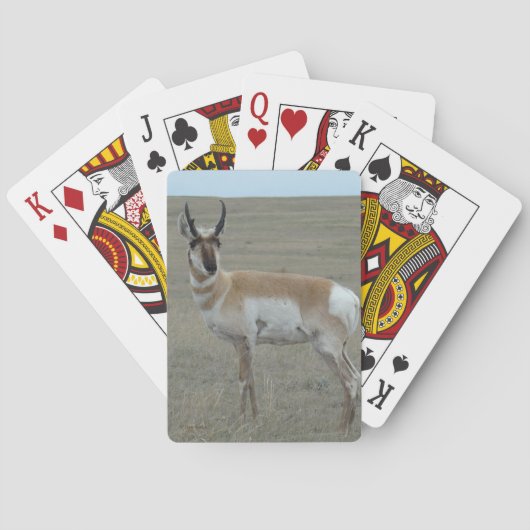A28 Gabelantilope Junger Bock Spielkarten (Rückseite)