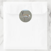 A28 Gabelbock Junger Bock Runder Aufkleber (Tasche)