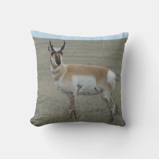 A28 Pronghorn Antelope Young Buck Kissen (Vorderseite)