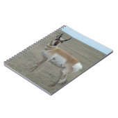 A28 Pronghorn Antelope Young Buck Notizblock (Linke Seite)