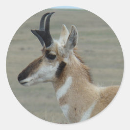 A29 Pronghorn Antelope Head Shot Profile Runder Aufkleber