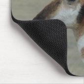 A29 Pronghorn Antelope Young Buck Head Profil Mousepad (Ecke)
