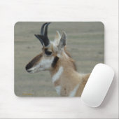 A29 Pronghorn Antelope Young Buck Head Profil Mousepad (Mit Mouse)