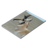A29 Pronghorn Antelope Young Buck Head Profil Notizblock (Linke Seite)