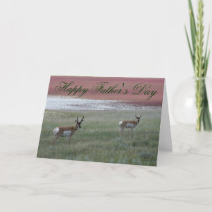 A2 Gabelantilope Karte