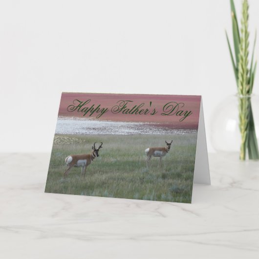 A2 Gabelantilope Karte (Vorderseite)