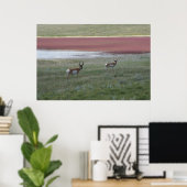 A2 Pronghorn Antelope Poster (Heimbüro)