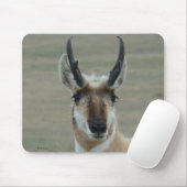 A30 Gabelbock Junger Bock Kopfschuss Mousepad (Mit Mouse)