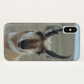 A30 Pronghorn Antelope Head Shot Case-Mate iPhone Hülle (Rückseite (Horizontal))