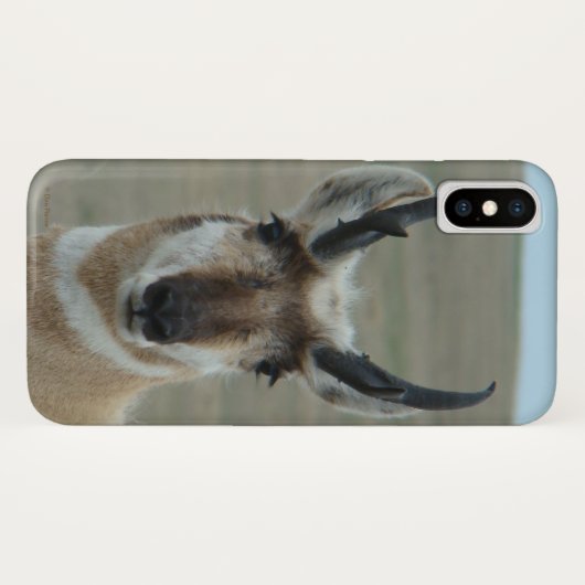 A30 Pronghorn Antelope Head Shot Case-Mate iPhone Hülle (Rückseite (Horizontal))