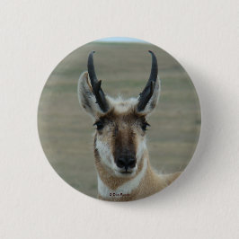 A30 Pronghorn Antelope Young Buck Head Shot Button