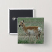 A31 Pronghorn Antelope Doe Button (Vorne & Hinten)