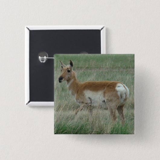 A31 Pronghorn Antelope Doe Button (Vorne & Hinten)